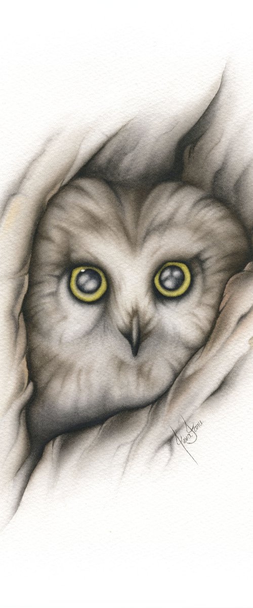 Hidden - Owl watercolor painting by ieva Janu