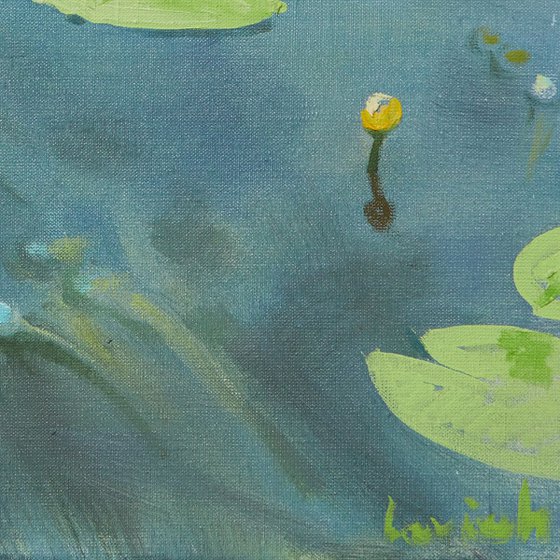 Water Lilies - I