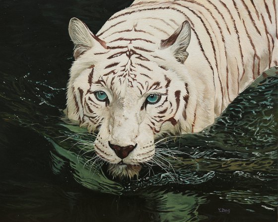 White tiger in black water