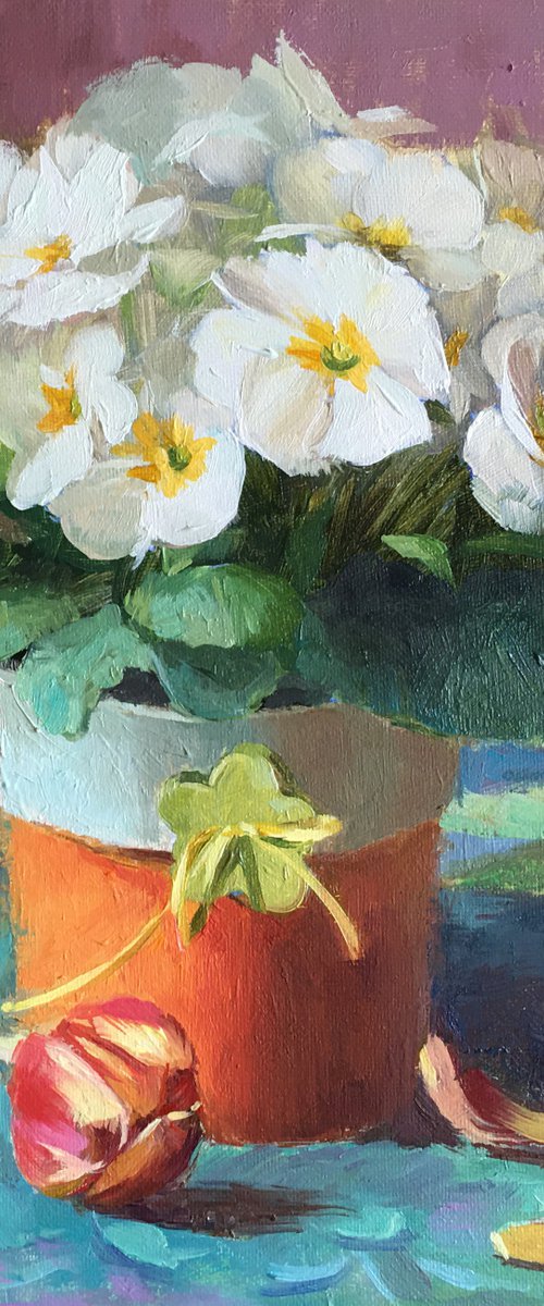 White Primrose by Ling Strube