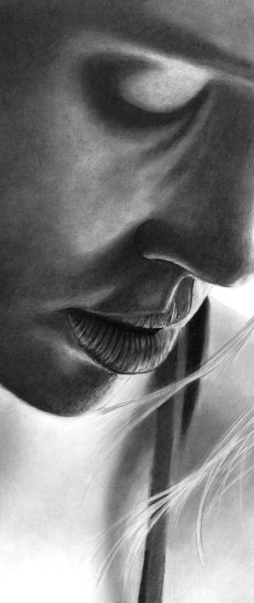 In the shadows IV by Paul Stowe