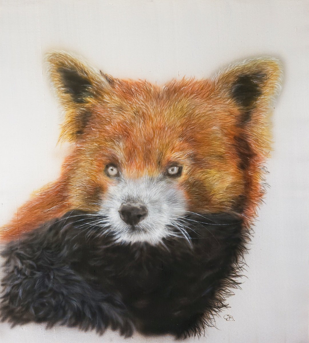 Red Velvet - Silk painted realistic red panda portrait by Olga Belova