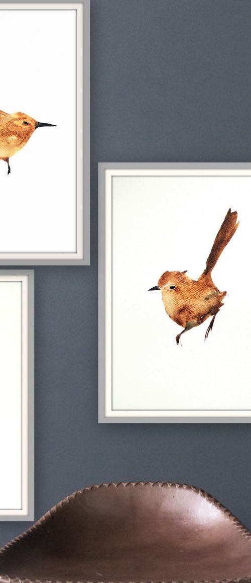 Birds by Nadia Moniatis