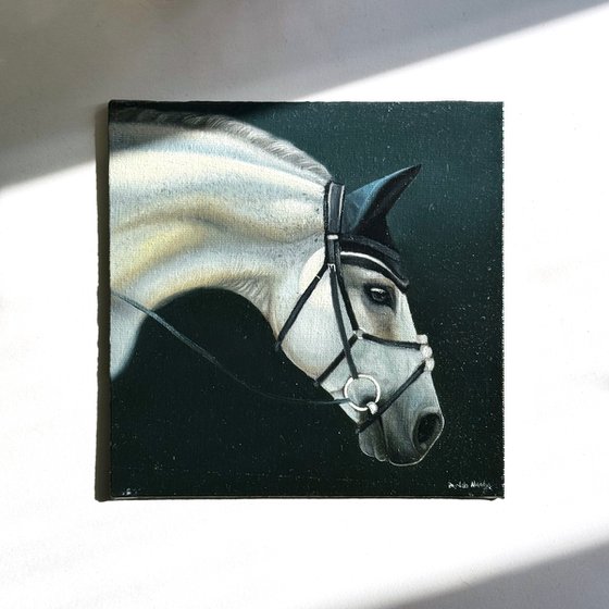 Horse Portrait 6