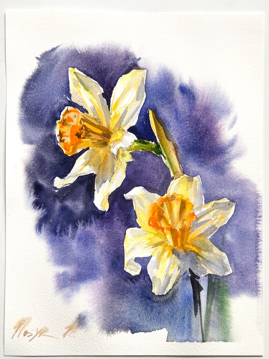Narcissus on blue| little watercolor etude by Nataliia Nosyk