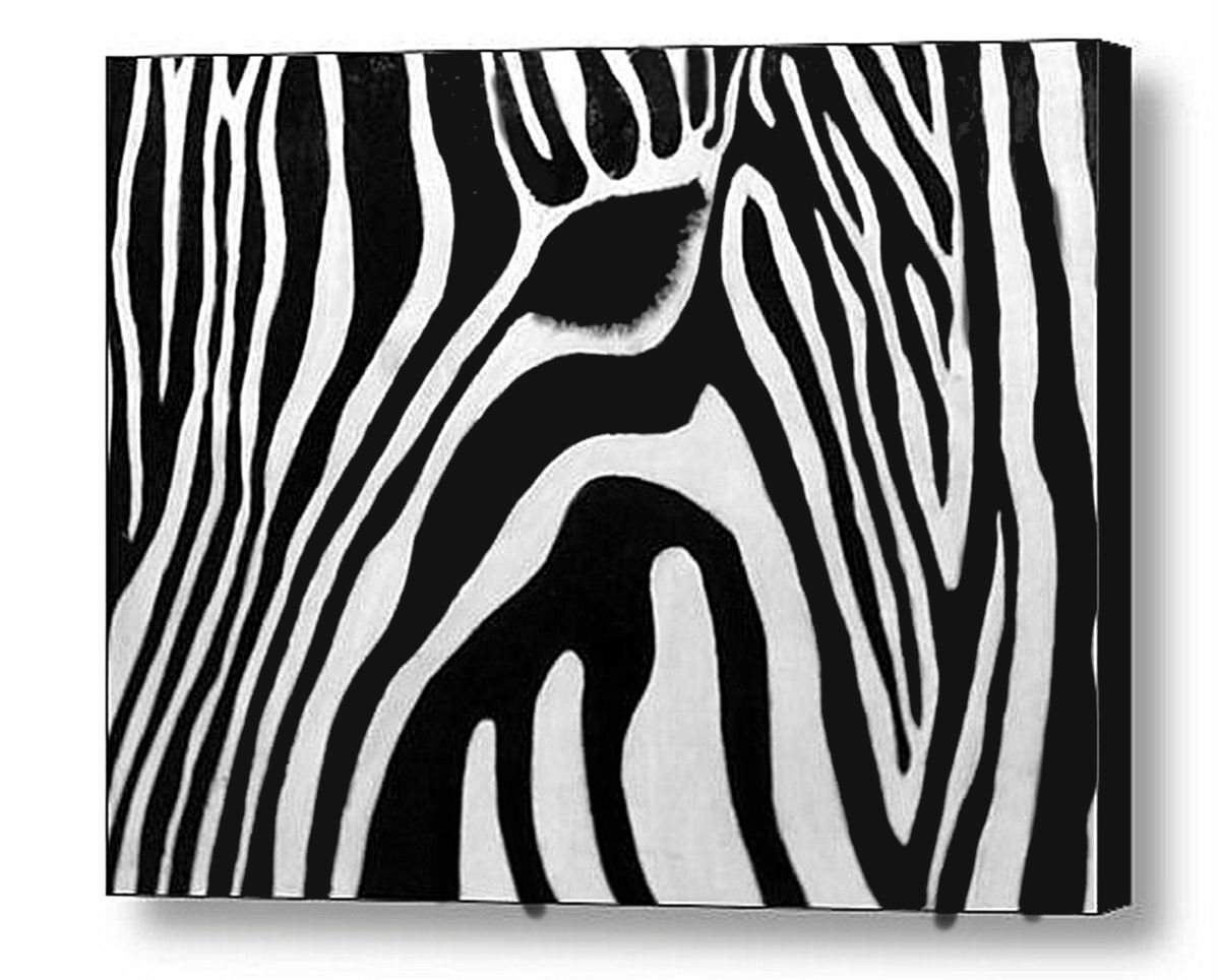 Zebra 13 by Jane Biven