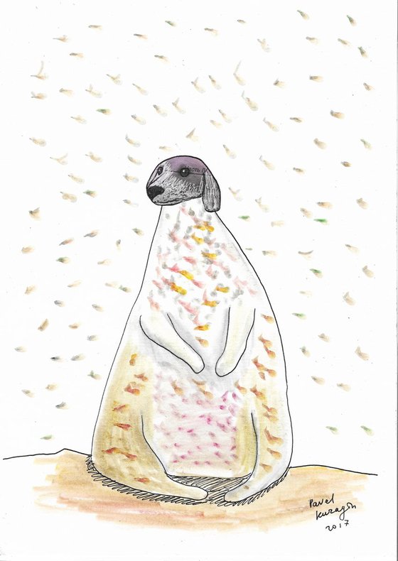 Fat dog