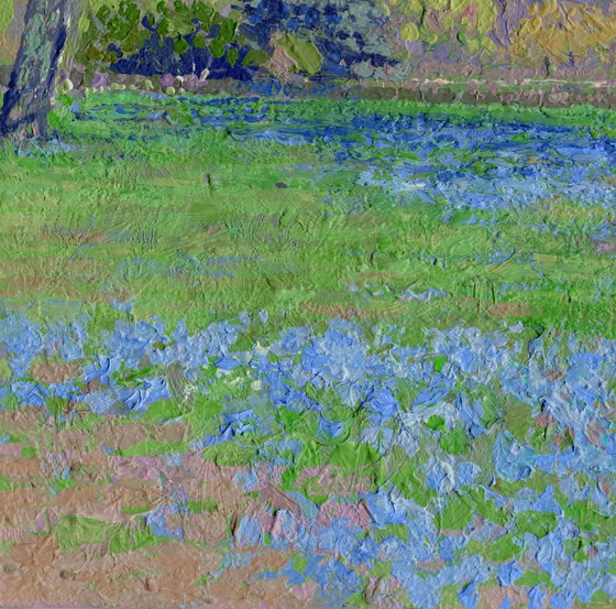 Scilla of Lucilia. Botanical Garden.