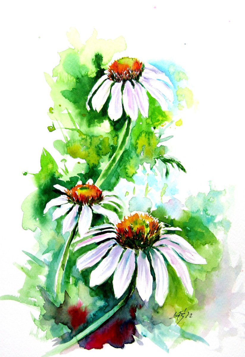Flowers of summer by Kovacs Anna Brigitta