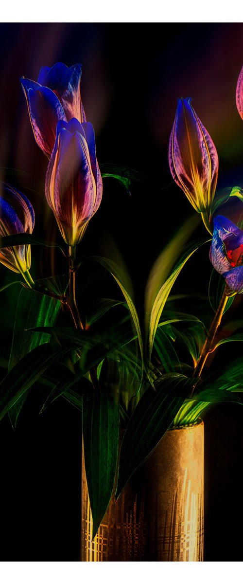 Lillies In The Golden Hour #2/10 Limited Edition Photographic Print by Graham Briggs
