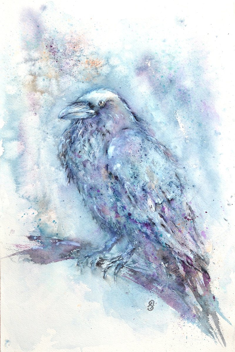 Crow by Sveta Hubmann