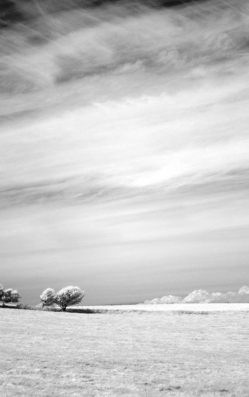 Copse, Cuckmere Haven by Ed Watts