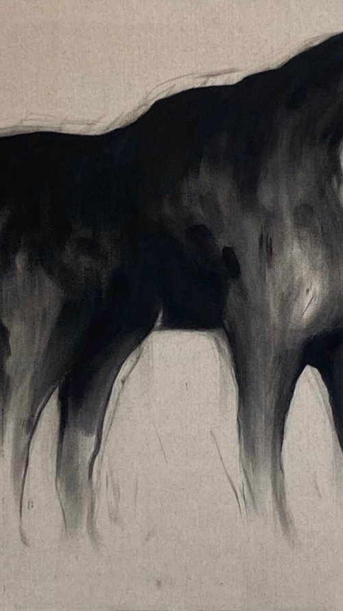 Black Bison by Grey Aiden
