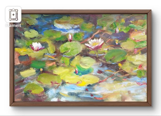 Water Lilies