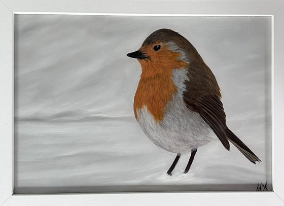 Robin on Snow