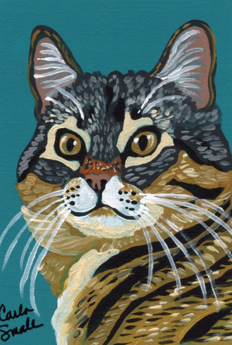 Brown Tabby Cat by Carla Smale