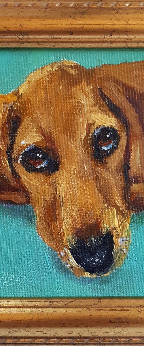 Dog 03.24 / framed / FROM MY A SERIES OF MINI WORKS DOGS/ ORIGINAL PAINTING by Salana Art Gallery