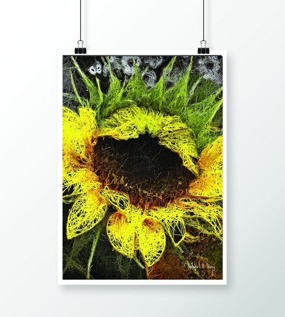 Lacy Sunflower