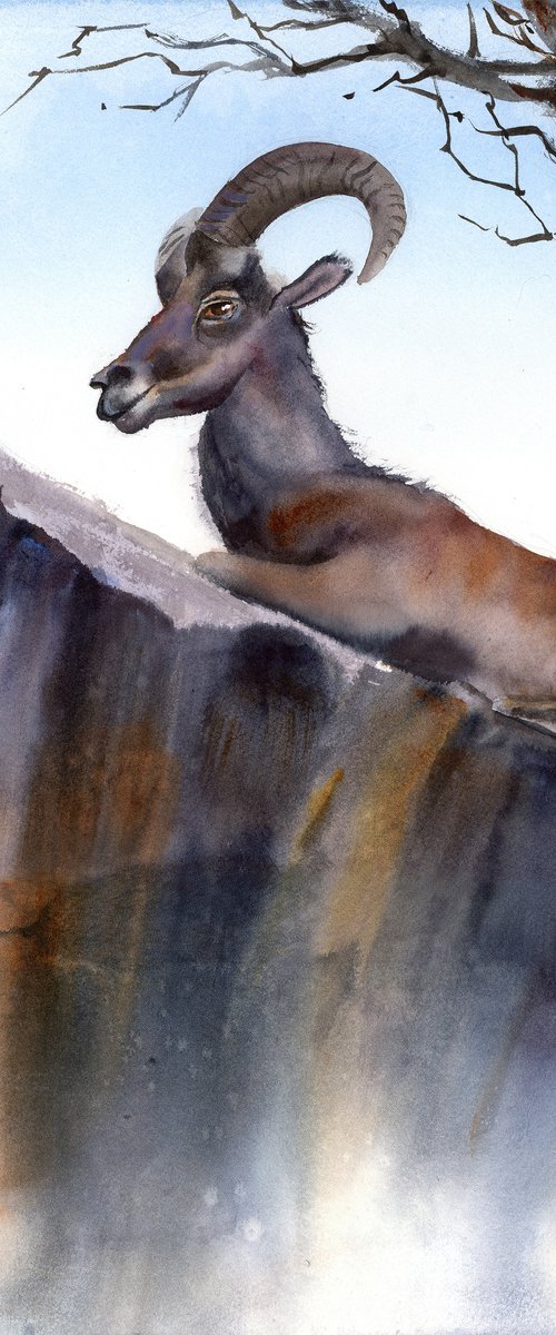 Resting Ibex on the Cliff by Olga Tchefranov (Shefranov)