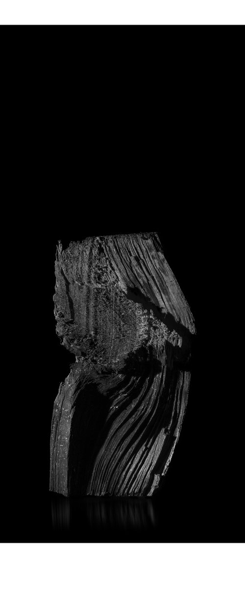 Untitled IV - "Standing Log" by Caio Caruso