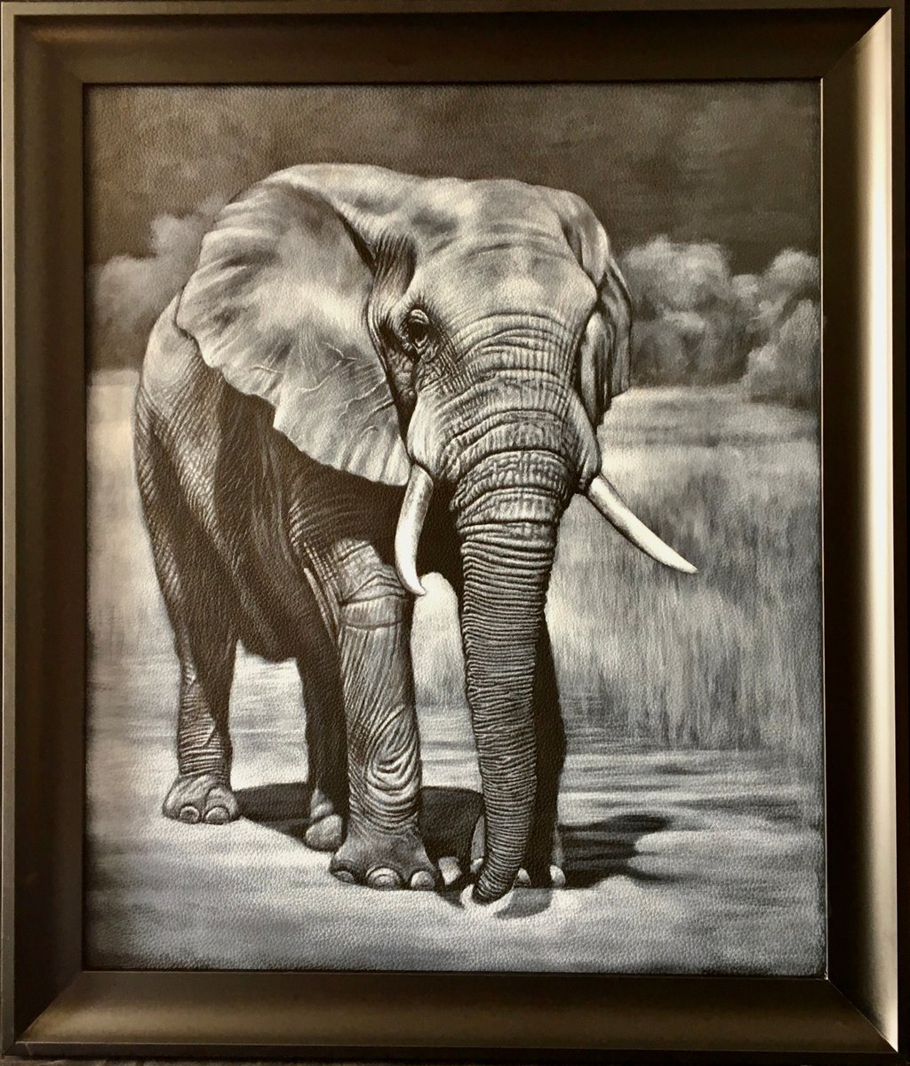 Elephant Night Walker by Karl Hamilton-Cox