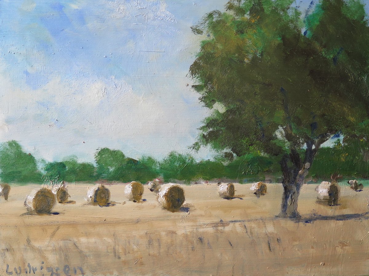 Hay Bales near York by Malcolm Ludvigsen