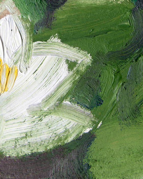 Waterlilies, Blea Tarn