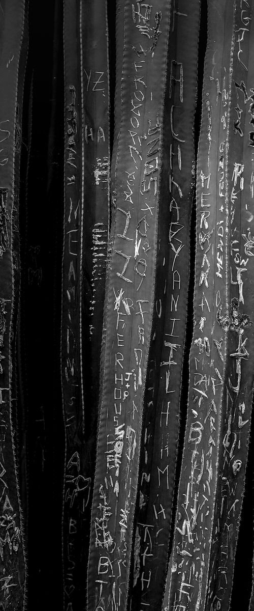 Cactus Graffiti - The Jardin Majorelle in Marrakech by Stephen Hodgetts Photography