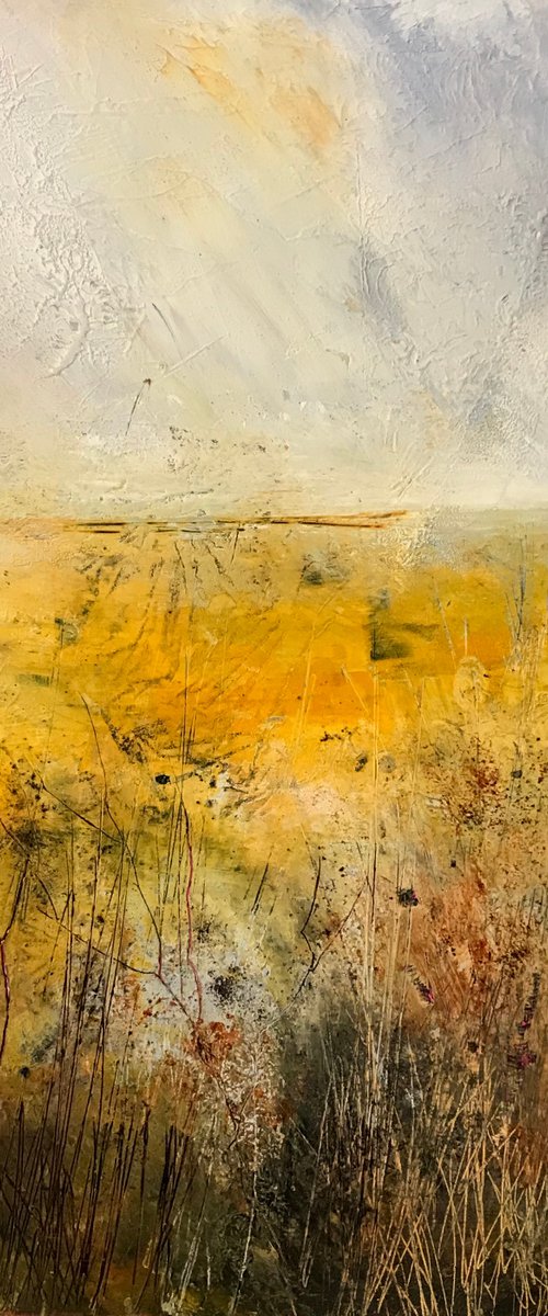 Summer Meadow by Kirsten Elswood