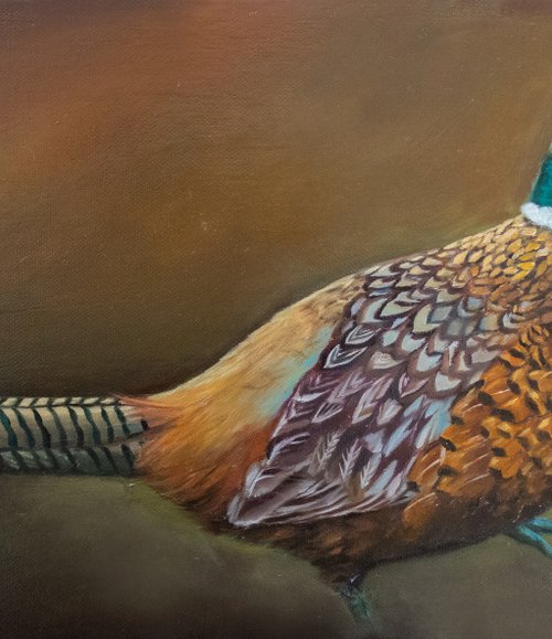 Pheasant by Eva Chen