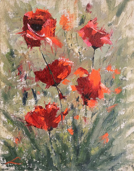 Poppies 5