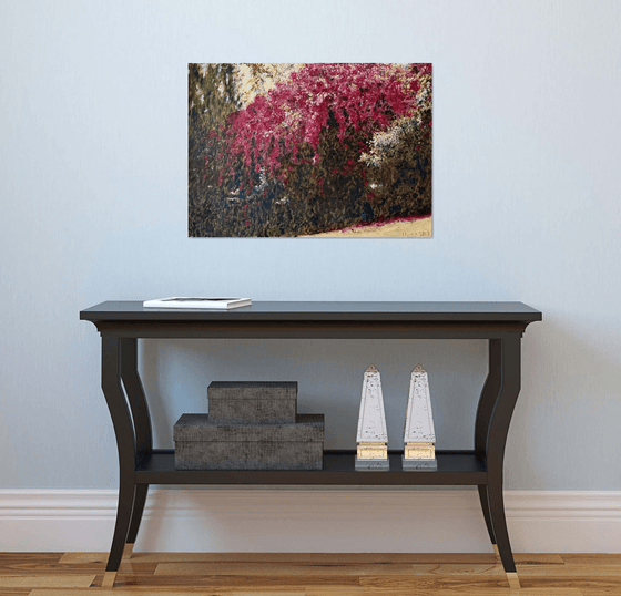 Bougainvillea