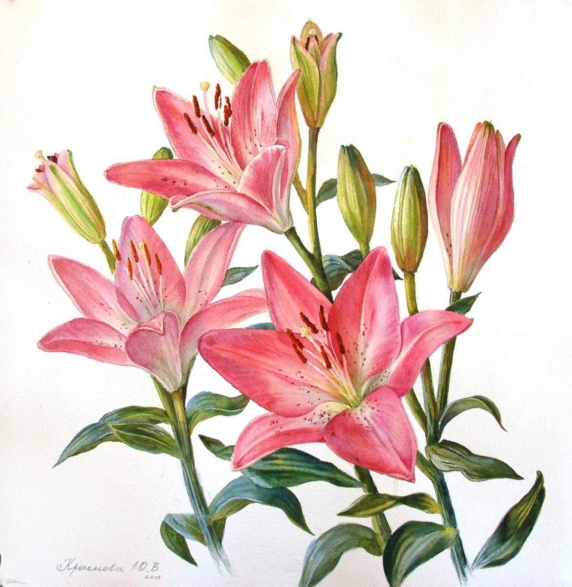 Photorealistic Botanical Watercolour By Yulia Krasnov, 16 X 16", Pink Lilies, Original Artwork