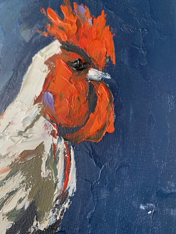 Colorful Rooster.