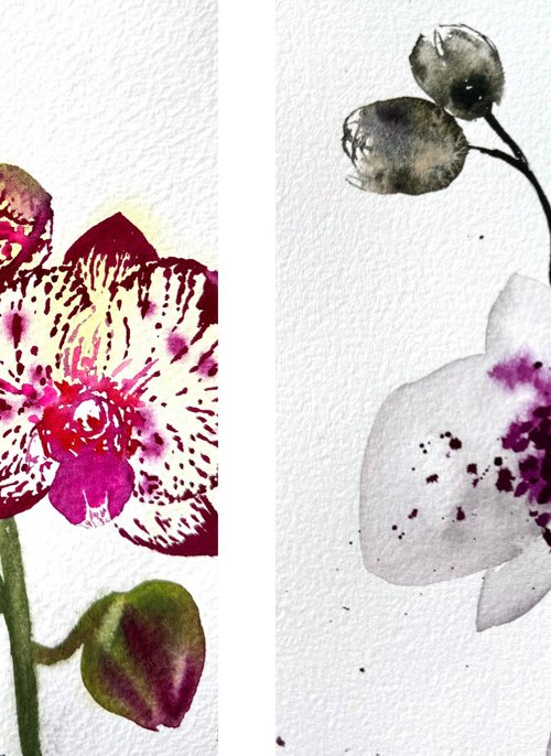 Twin Wild Orchid Purple by Yuliia Sharapova