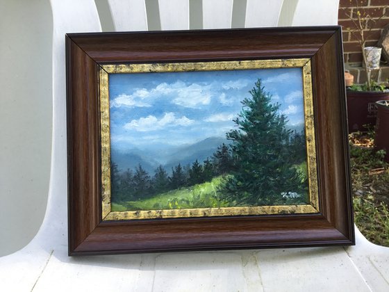 MOUNTAIN PINE - oil 5X7 (SOLD)