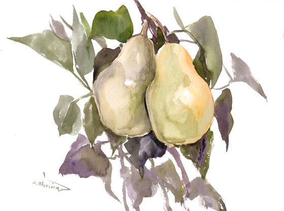 Pears on the Tree