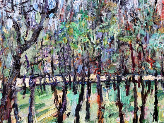 Trees by the Shore