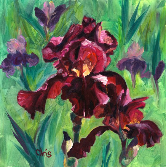 "Royal Trumpeter" Iris