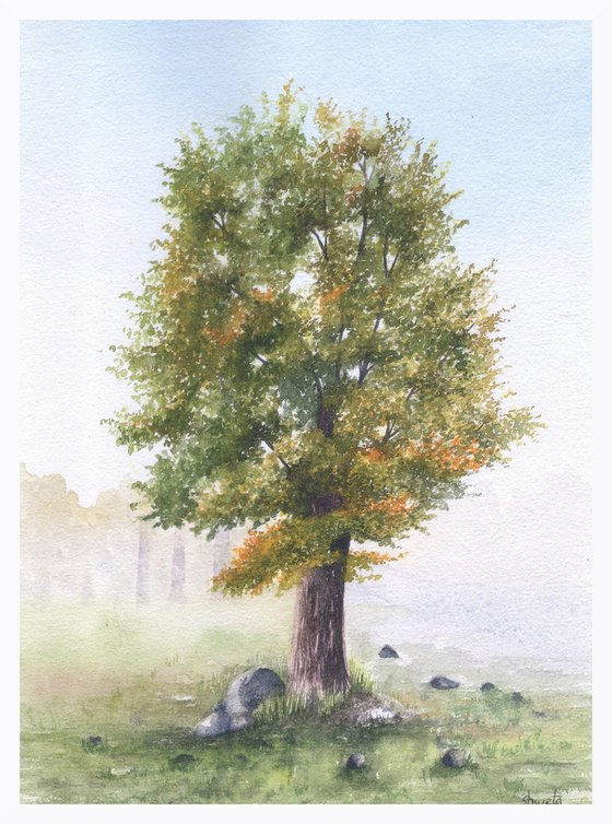 Collection of trees IV