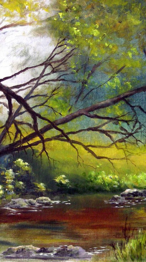WOODY GLADE by BARBARA  HARLOW