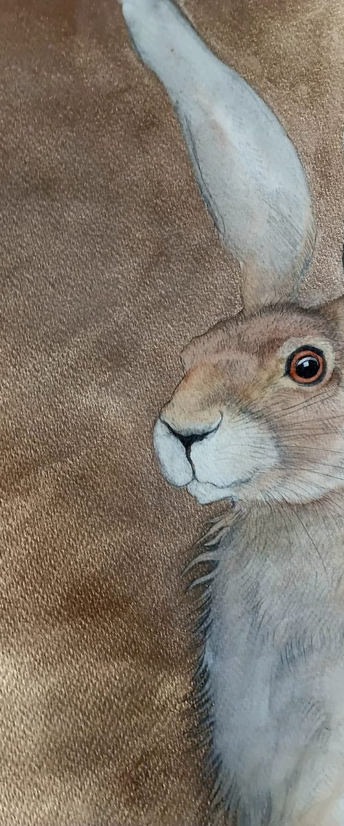 'TALIESINS HARE' by Zoe Spencer