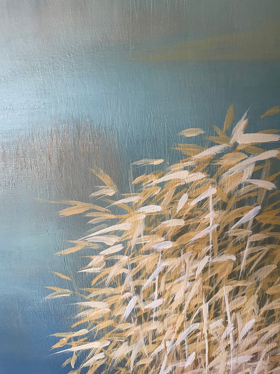 Between Sky and Water