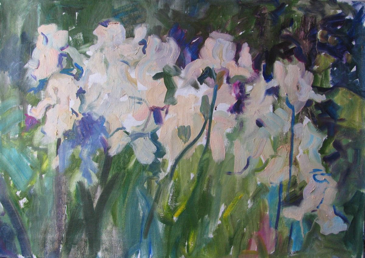 Irises in the garden by Nina Ezerskaya