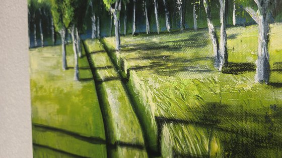 Long Shadows