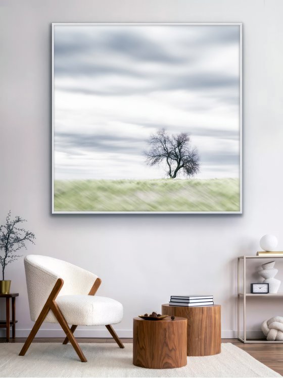 Lone Tree in the Tuscan Countryside
