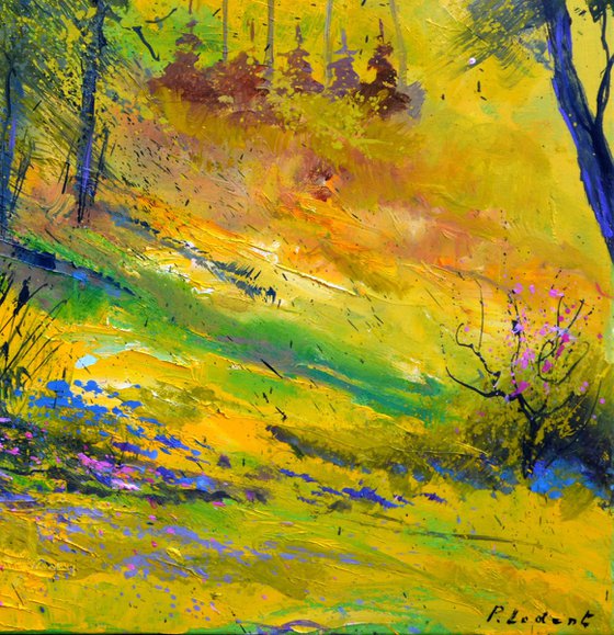 Light in the wood