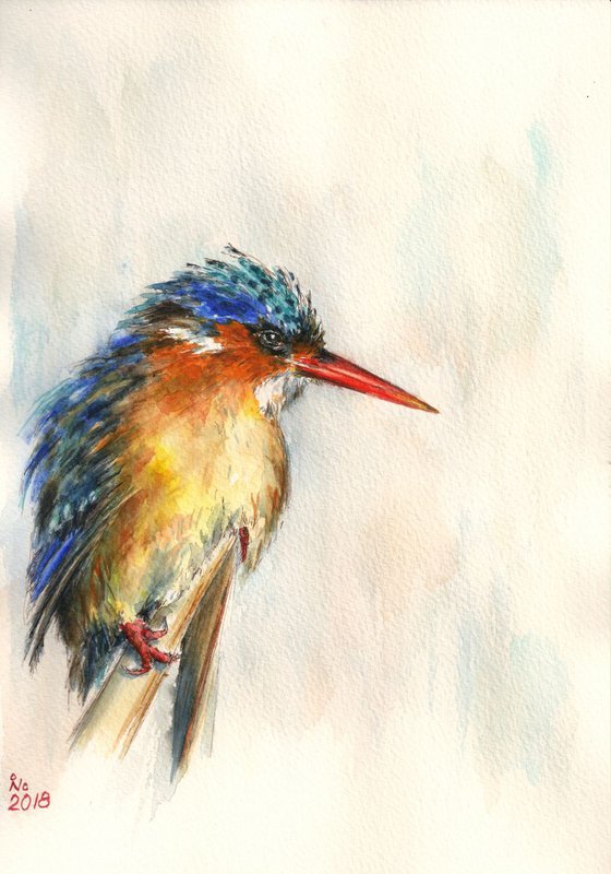 Kingfisher