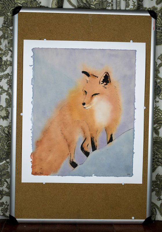 Dazzling Fox