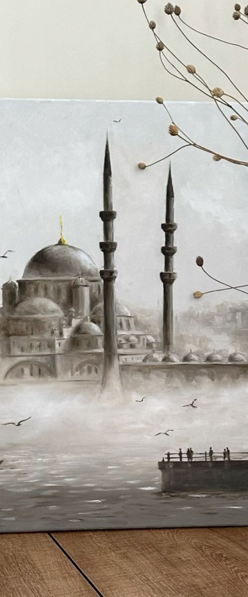 Mosque in Istanbul Turkey by Irina Magon